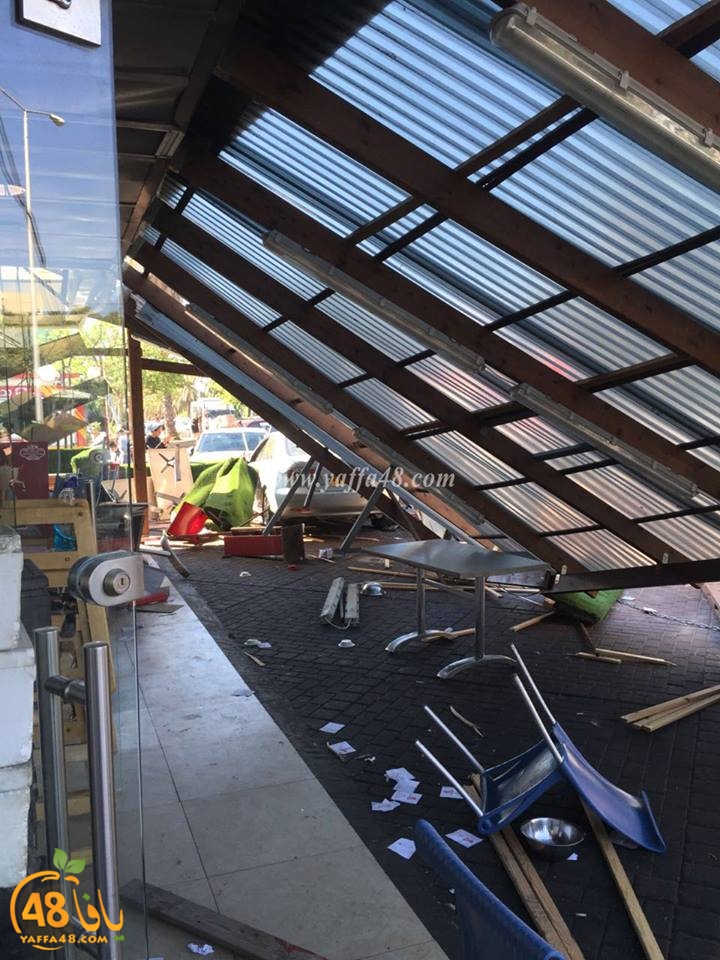 acc janob yaffa (2).jpg